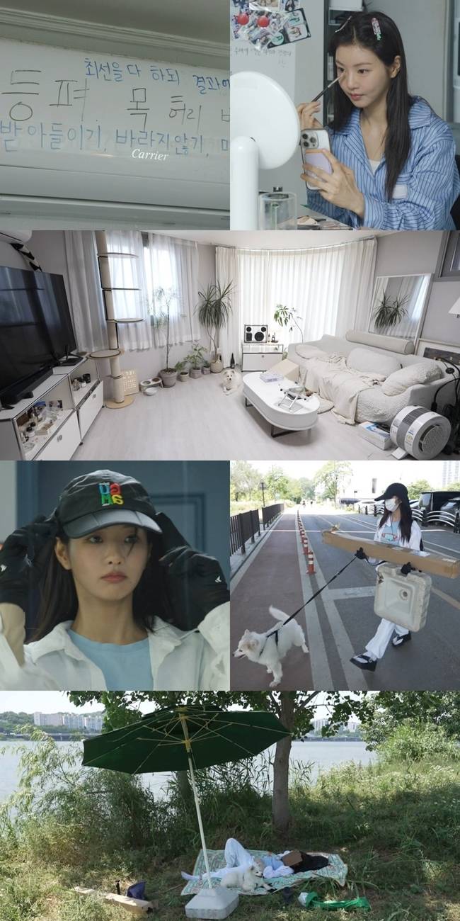 MBC ‘전지적 참견 시점’ 제공