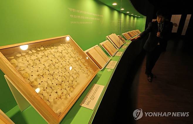 광복 80주년 석주명 특별전 (제주=연합뉴스) 박지호 기자 = 3일 오전 제주시 건입동 국립제주박물관에서 열린 '제주에 나빌레라-광복 80주년 기념 석주명 특별전' 언론 공개회에서 이재호 학예연구사가 전시물에 대해 설명하고 있다.
석주명의 나비와 제주학 주요 저서, 남계우의 나비 그림, 나비 공예품 등을 모은 이 전시는 4일 개막해 10월 19일까지 이어진다. 2025.7.3 jihopark@yna.co.kr
