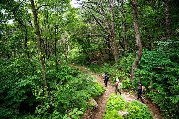 북문에서 미륵사로 향하는 길은 산행리본 대신 연등이 달려 있다.