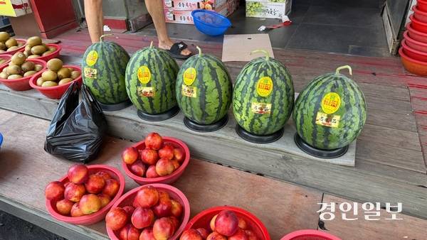 수원시내 한 과일가게에서 수박을 비롯해 다양한 제철과일을 판매하고 있다. 2025.7.2 /윤혜경기자 hyegyung@kyeongin.com