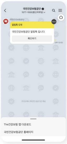 공공기관 전용 채팅방 화면 (사진=카카오)