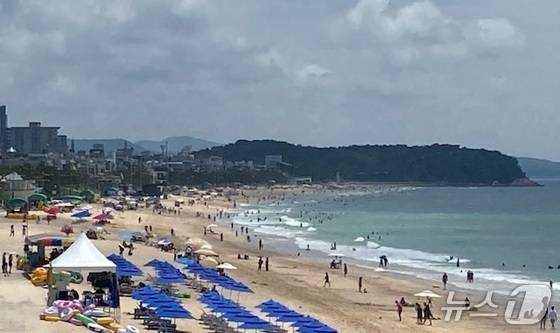 5일 보령 대천해수욕장에서 피서객들이 해수욕을 즐기고 있다. (독자제공, 재판매 및 DB금지) / 뉴스1
