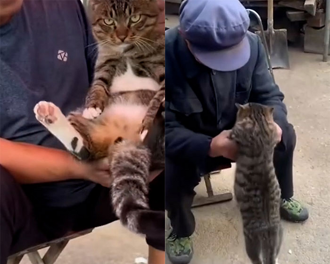 출처=아이치이(장원시쉰)