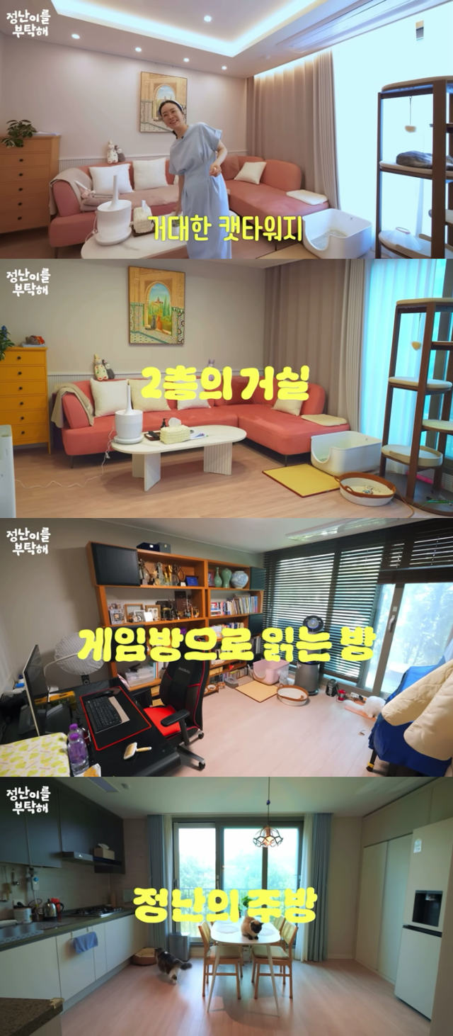 거대한 캣타워라고 소개하는 배우 김정난의 집. 어디를 찍어도 숨어있는 고양이가 보인다. 유튜브 '정난이를 부탁해' 캡처