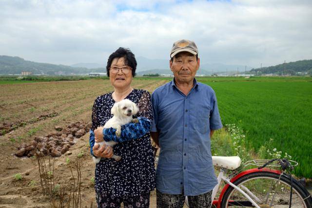 강화군 송해면 주민 안금자(왼쪽)·이용호씨 부부가 철책 아래 들녘에서 서리태 모종을 심던 중 사진 촬영에 응했다. 한해 전 귀농한 막내 아들네와 함께 농사를 짓고 있는 안씨는 "강아지(콩이) 데리고 나와서 새소리 들으며 흙 밟고 있는 지금 이 시간이 평화롭게 느껴진다"라며 “계속 오늘만 같았으면 좋겠다”라고 말했다.
