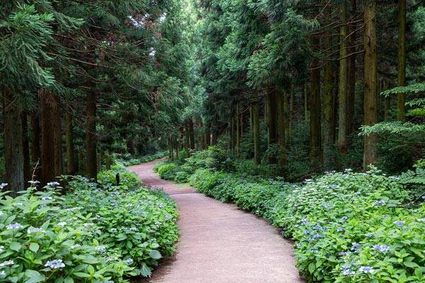 사진=클립아트코리아