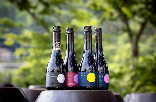 한영석의 발효연구소에서 생산하는 전통주들. 호산춘, 백수환동주, 배치를 달리한 청명주 순이다. 백수환동주로 지난 2024년 우리술 품평회 대상을 차지했다. 장진영 기자