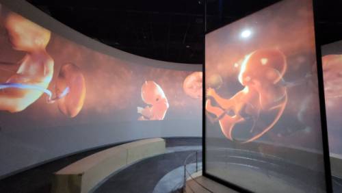 ◇국립강원전문과학관 내부 전시시설