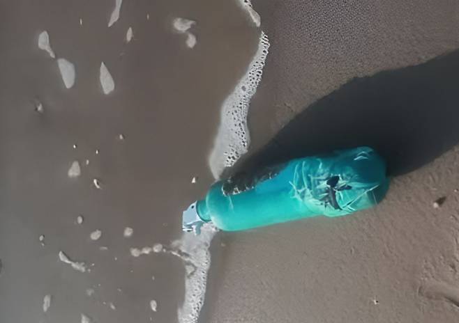 스페이스X 로켓 발사 이후 멕시코 바그다드 해변에 파편이 쏟아지며, 멸종위기 바다거북의 서식지가 훼손됐다. 환경단체는 500m 구간에서만 1톤 넘는 잔해를 수거했고, 최소 300마리의 새끼 거북이 폐사한 것으로 추정했다. (사진=Conibio Global A.C. 캡처)