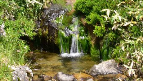 한라산국립공원 해발 1660m에 위치한 백록샘. 제주도 제공