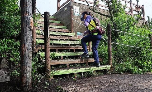 지난달 30일 인천 계양산 정상이 러브버그(붉은등우단털파리)들로 뒤덮인 모습.<연합뉴스>