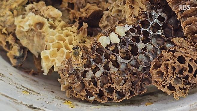 사진은 기사와 관련 없음