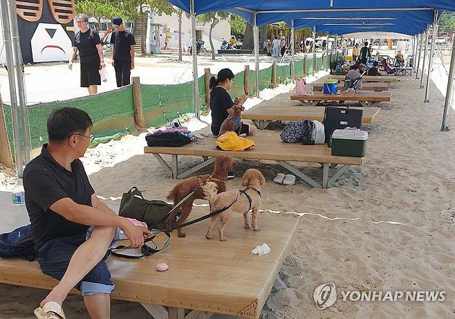 '댕댕아 놀자' (거제=연합뉴스) 이준영 기자 = 지난 5일 개장한 경남 거제시 남부면 명사해수욕장 내 마련된 '댕수욕장'에서 반려견과 견주들이 무더위를 날리고 있다. 2025.7.6 ljy@yna.co.kr