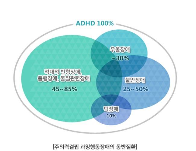 주의력결핍 과잉행동장애(ADHD)의 동반질환. /이미지=대한소아청소년정신의학회의 ADHD 홈페이지