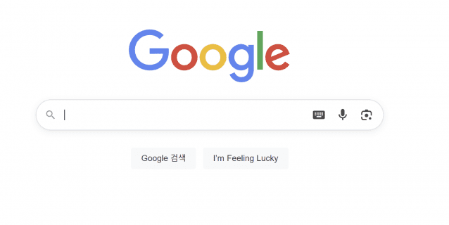 구글 검색창 캡처.