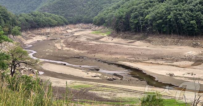 8일 강원 강릉시 성산면 오봉저수지 인근 도마천 일대가 바닥을 드러내고 있다. 이날 기준 오봉저수지 저수율은 32%로, 전국 평균(62.2%)보다 현저히 낮은 수준을 보이고 있다. 2025.7.8/뉴스1 ⓒ News1 윤왕근 기자