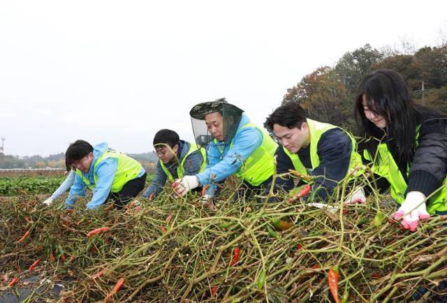 윤병운(가운데) NH투자증권 사장과 임직원들이 지난해 11월 경기 파주시 문산읍 당동2리 농가 지역을 방문해 고추대 철거 작업을 하고 있다. NH투자증권 제공
