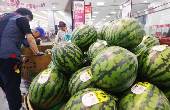 지난달 26일 서울 중구 롯데마트에서 시민이 수박을 고르는 모습. 연합뉴스