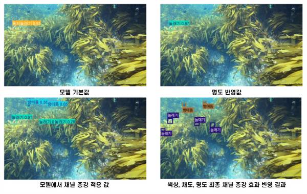 수중 이미지 특성을 고려한 색상, 채도, 명도 채널 증강 효과 분석을 통한 어류 식별 성능 향상. 국립수과원 제공