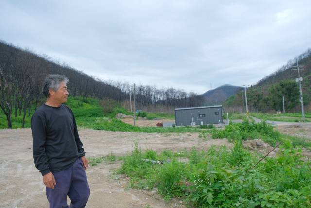 지난 24일 의성군 점곡면 사촌1리에서 박기(69) 이장이 불타 철거된 자신의 집터를 망연자실한 표정으로 바라보고 있다. 의성=황동건 기자