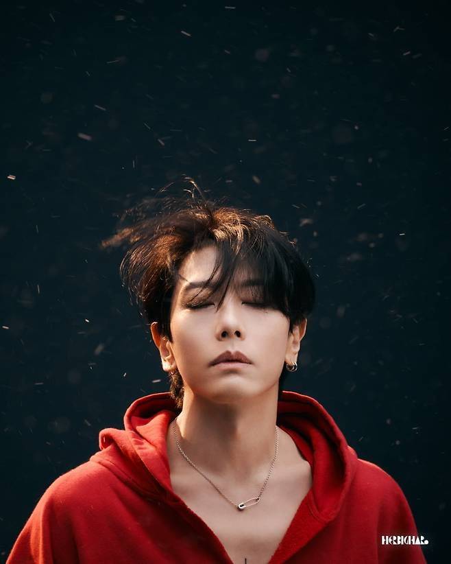 사진=허비그하로