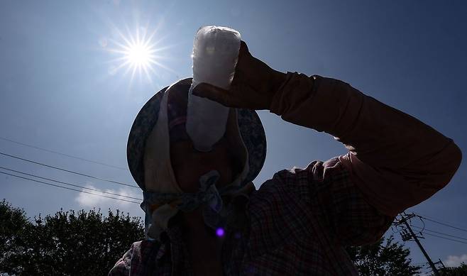 폭염특보가 발효 중인 2일 경북 고령군 다산면의 한 밭에서 파 모종을 심던 농민이 얼음물을 마시며 더위를 식히고 있다. 연합뉴스