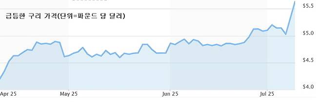 트럼프 구리 품목 관세 발언에 급등한 구리 가격