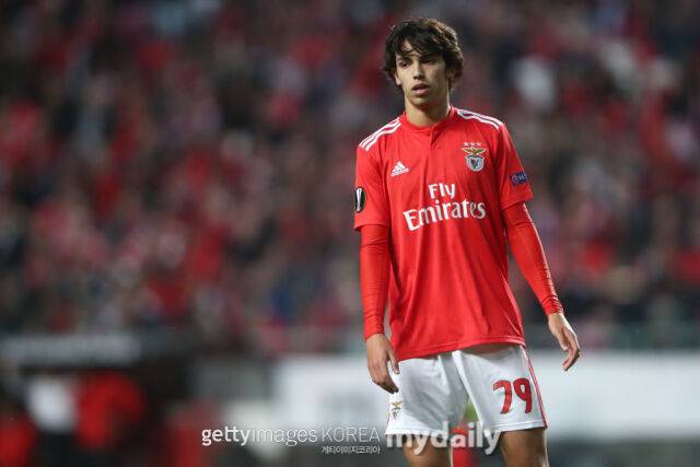 SL 벤피카 시절의 주앙 펠릭스. /게티이미지코리아