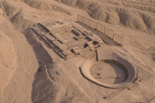 페니코. AFP연합뉴스