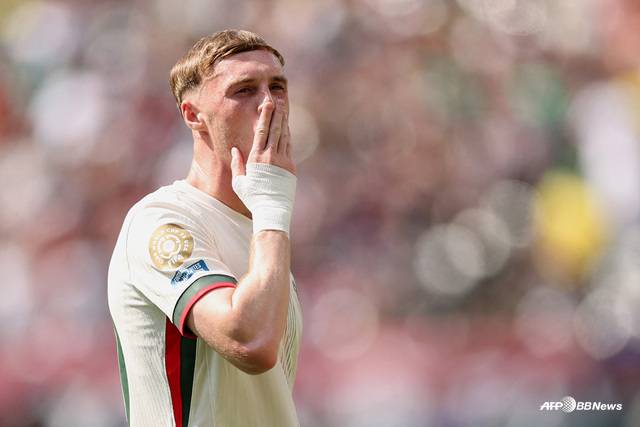 콜 파머. /AFPBBNews=뉴스1