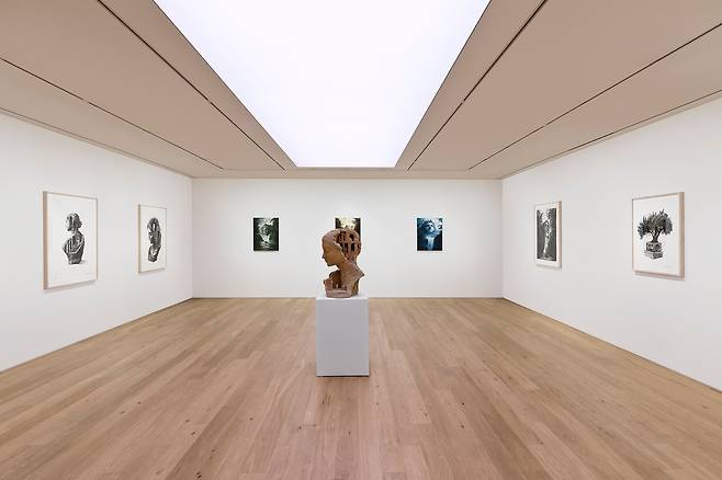 다니엘 아샴 '기억의 건축'展 전시 전경 (페로탕 서울 제공)