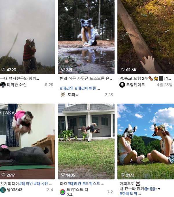 SNS에는 '테리안' '쿼드러빙' 등의 키워드와 함께 동물 복장으로 움직임을 흉내내는 게시글이 다수 공유되고 있다./사진=틱톡 화면 캡처