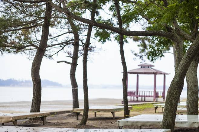 무안 홀통해수욕장 모습. 전라남도 제공