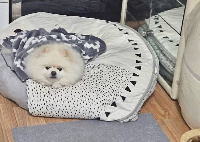 몽실이 사진=창원소방본부 제공