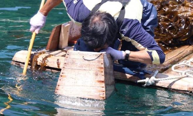 강릉의 한 어민이 창경바리 어업을 하는 모습. 강릉시 제공