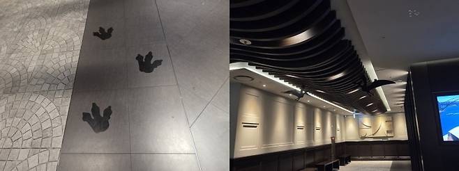 사진=안혜원 기자