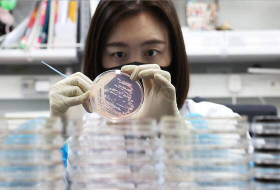 지난 5월 경기 수원시 권선구 경기도보건환경연구원에서 연구원들이 식중독균 배양분리작업을 시연하고 있다. 연합뉴스