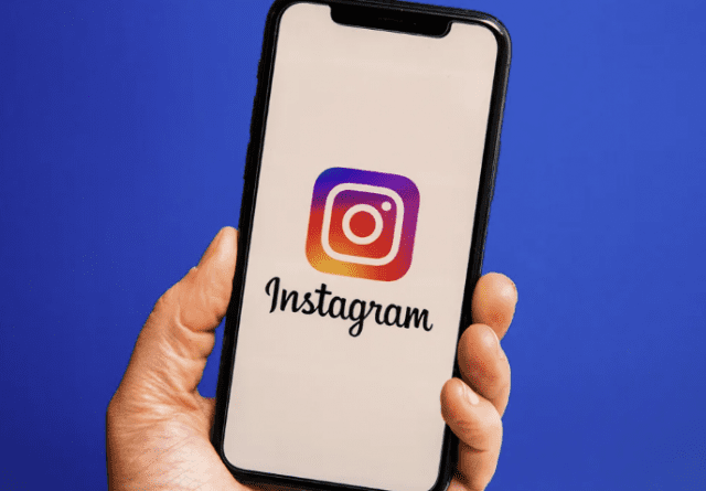 사진_미국 씨넷