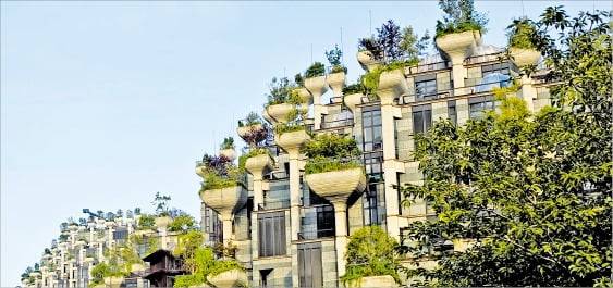 상하이 ‘천 그루의 나무’ 빌딩 전경. 나무가 건물을 덮는 방식이 아니라 나무를 화분에 심는 것 같은 방법을 선택했다. /박성준 건축사 제공