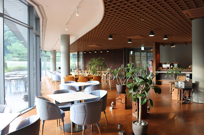 메디테라/사진=김지은 여행+ 기자