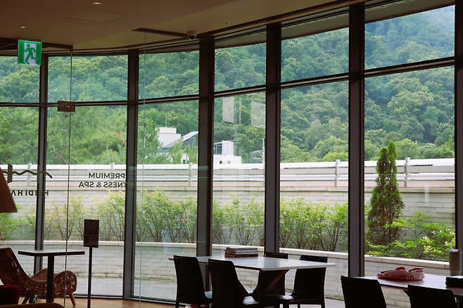 레스토랑에서 바라본 우면산/사진=김지은 여행+ 기자