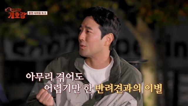 '집 나가면 개호강'/JTBC