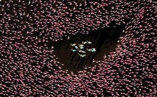 '올해의 국제 항공 사진작가 2025'에서 3위를 차지한 데이비드 스윈들러의 사진. 사진=David Swindler/International Aerial Photographer of the Year