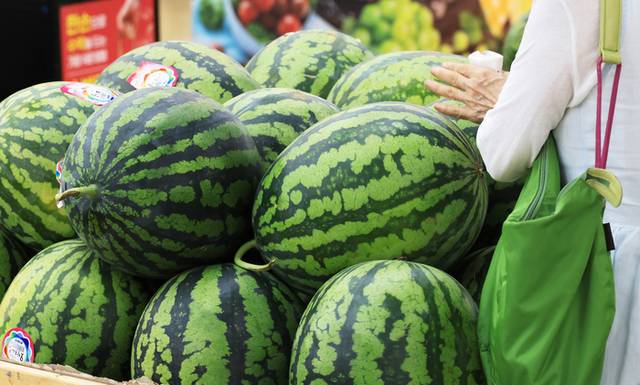▲ 지난 10일 서울 서초구 양재동 하나로마트에서 시민이 수박을 고르고 있다. 연합뉴스