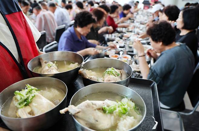 삼계탕을 먹고 있는 시민의 모습. 연합뉴스