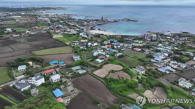 제주시 구좌읍 평대리 전경 (제주=연합뉴스) 박지호 기자 = 제주시 구좌읍 평대 마을 전경. 풀과 나무로 푸르게 보이는 곳이 모래언덕(해안사구)이다. 2025.7.13. jihopark@yna.co.kr
(끝)