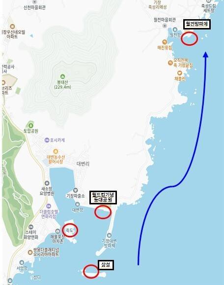 13일 오후~14일 오전 새끼 향유고래의 동선(추정). 부산 기장군 죽도~월드컵기념등대공원~삼섬에 머물다가 월전방파제 앞으로 갔다가 사라졌다.