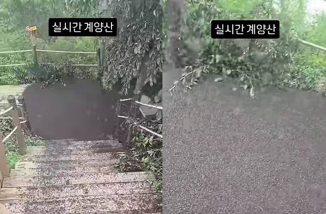 출처=유튜브, 온라인커뮤니티