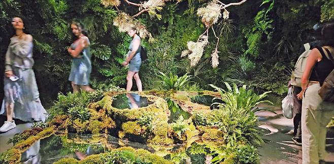 미국 뉴욕 맨해튼의 제네시스 하우스에서 관람객들이 한국의 숲을 재해석한 체험형 전시 ‘더 포레스트 위딘’을 감상하고 있다. /뉴욕=빈난새 특파원