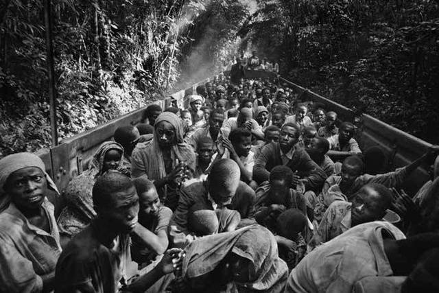 아프리카 르완다 내전 당시 난민을 찍은 사진.